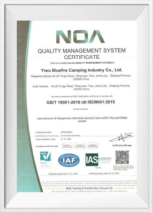 ISO 9001